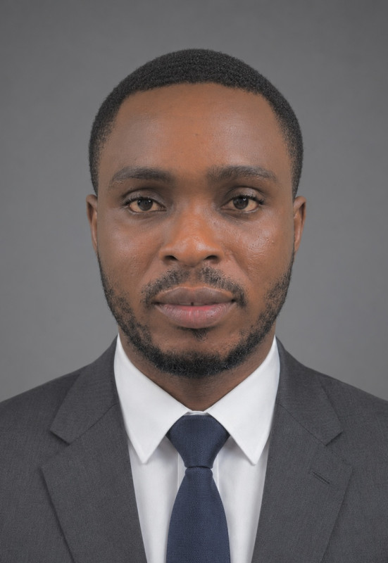 Uche D. Nwankwo
